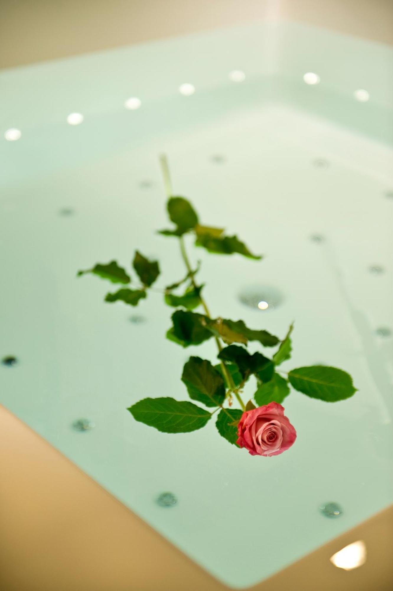 Viola Mhotel Grumello del Monte Eksteriør bilde